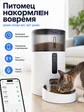Превью набора Cat feeder